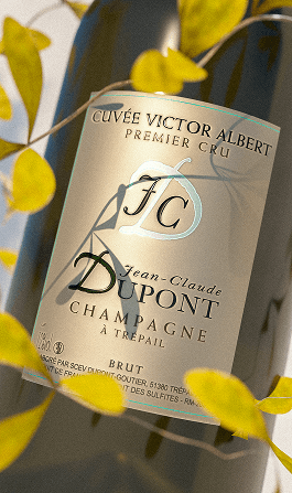 Champagne
Cuvée prestige