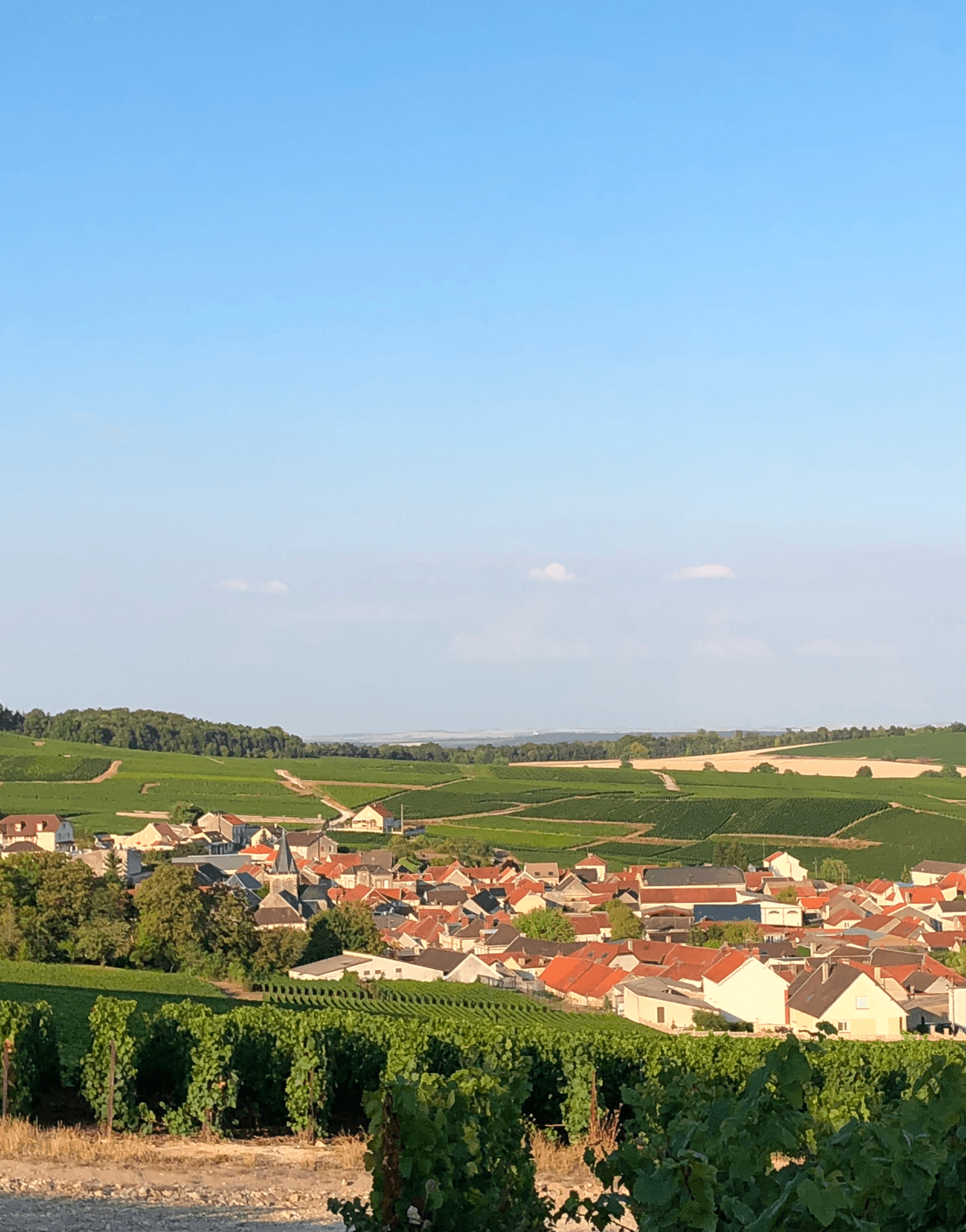 Bouteille de Champagne Jean-Claude Dupont